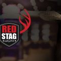 Red Stag Bitcoin Casino Review